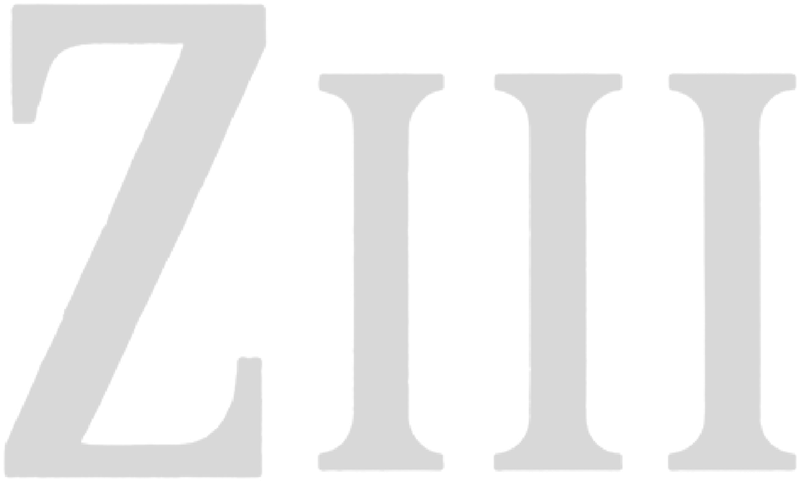 Ziii wordmark, grey with white outline