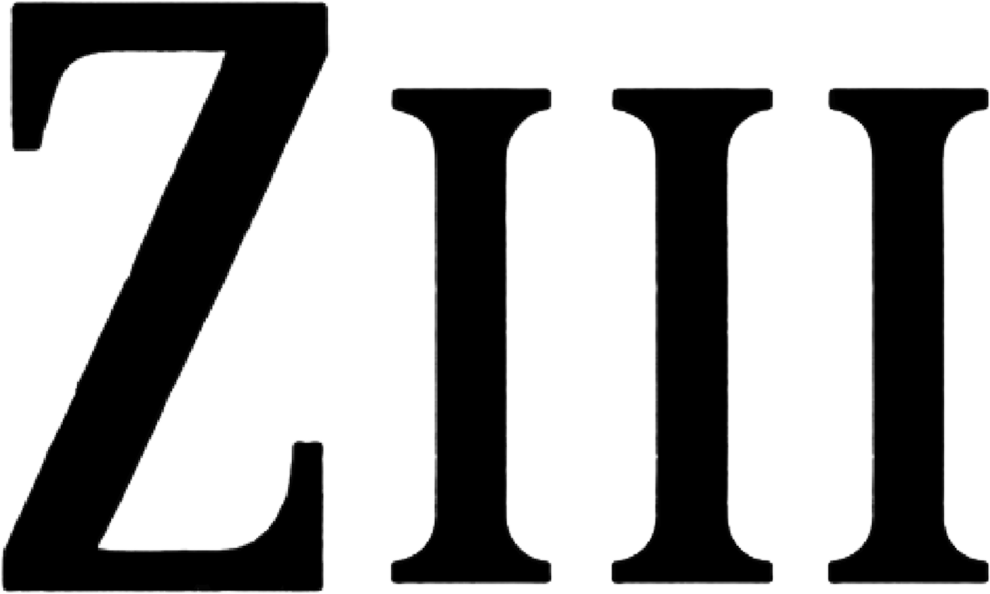 Ziii wordmark, black
